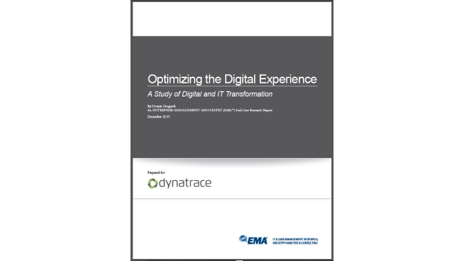 WP_Optimizar la Experiencia Digital